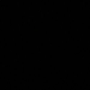 Meet your Posher, Delaney